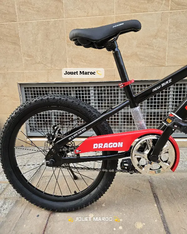 Vélo Vtt Dragon 20 pouces 04