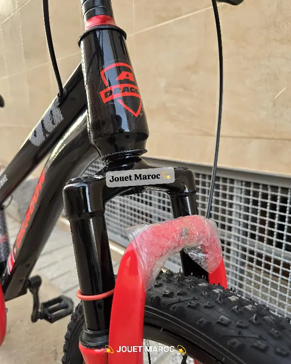 Vélo Vtt Dragon 20 pouces 05