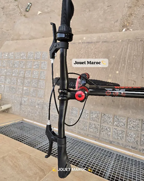 Vélo Vtt Dragon 20 pouces 06