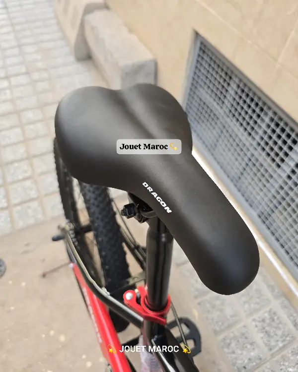 Vélo Vtt Dragon 20 pouces 07