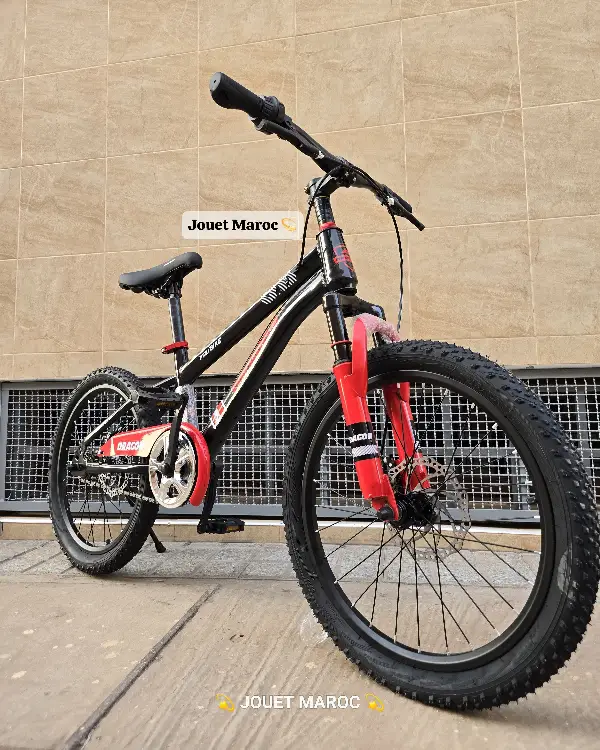 Vélo Vtt Dragon 20 pouces 08