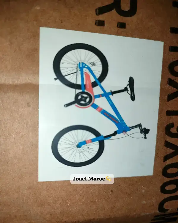 Vélo Vtt Dragon 20 pouces 09