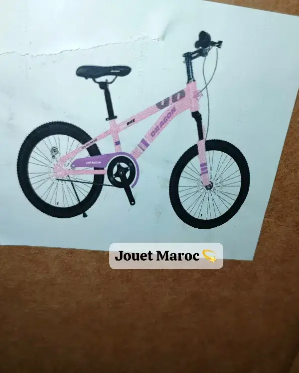 Vélo Vtt Dragon 20 pouces 10