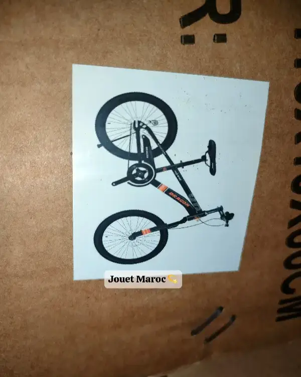 Vélo Vtt Dragon 20 pouces 11