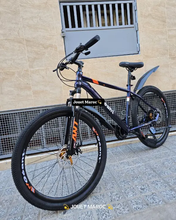  VÉLO VTT GÉANT  26 POUCES 02