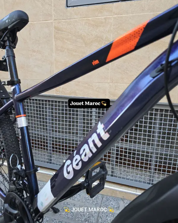  VÉLO VTT GÉANT  26 POUCES 05