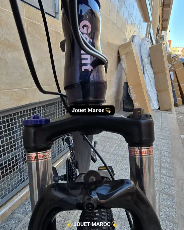  VÉLO VTT GÉANT  26 POUCES 09