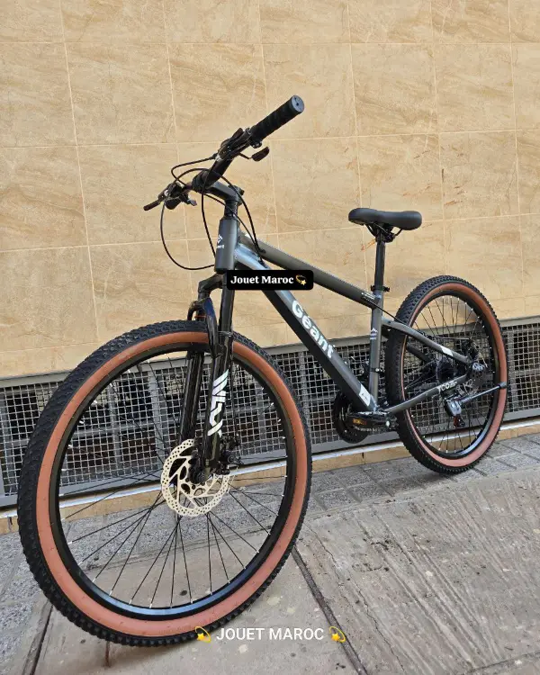 VÉLO VTT GÉANT ALUMINIUM 26 POUCES 02