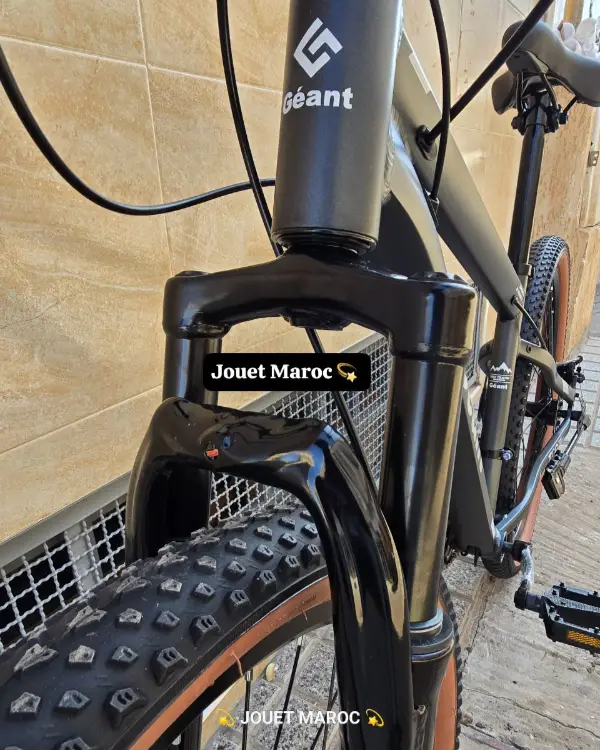 VÉLO VTT GÉANT ALUMINIUM 26 POUCES 09