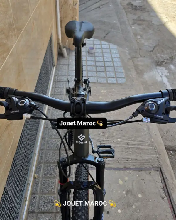 VÉLO VTT GÉANT ALUMINIUM 26 POUCES 10