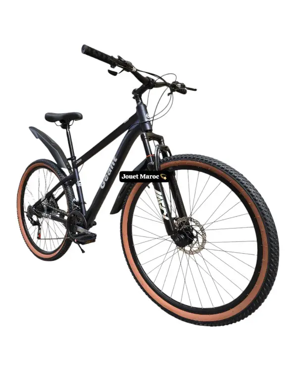 VÉLO VTT GÉANT ALUMINIUM 26 POUCES 11