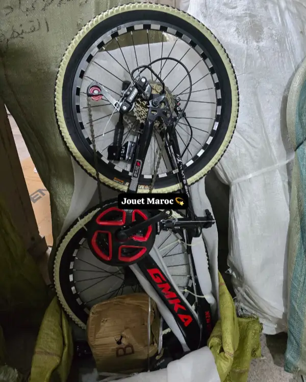 Vélo VTT ITALIANO 20 pouces 12