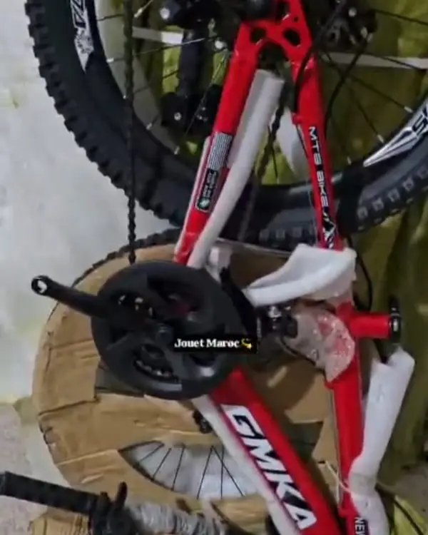 Vélo VTT ITALIANO 20 pouces 13