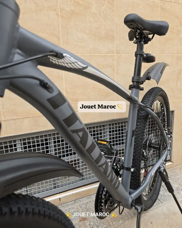 Vélo Vtt Italiano Aluminium 26 pouces 07