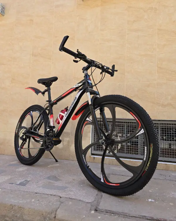 Vélo Vtt Thunderbrid 26 pouces 02