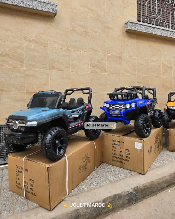 Voitures électriques – Mercedes & Mini Buggy 04